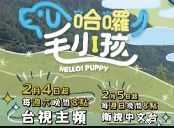 哈啰！毛小孩