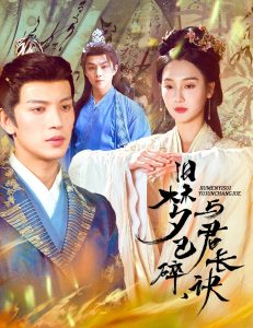 旧梦已碎，与君长诀＆终是深情错付君